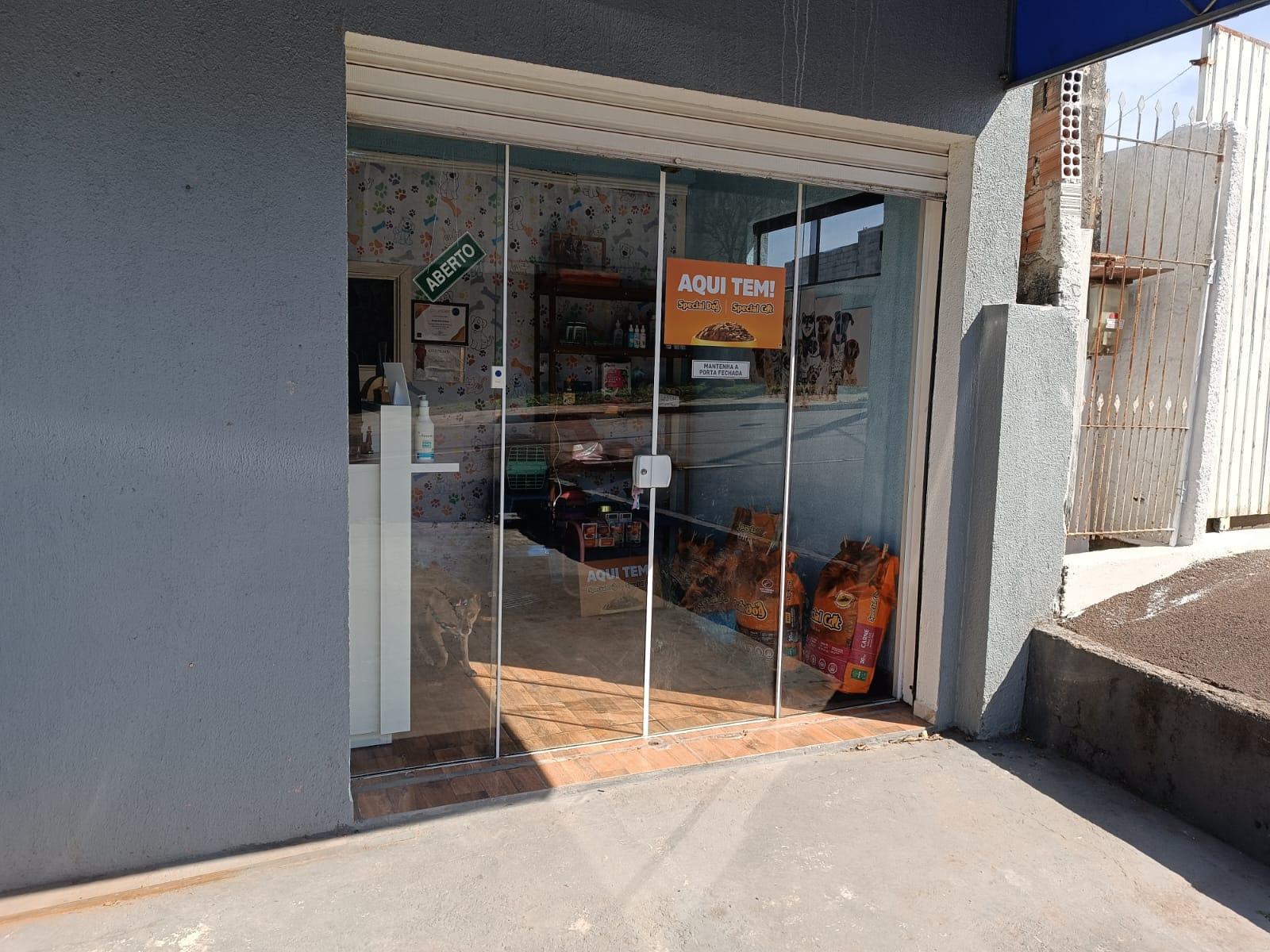 Interior da loja Luvi Estética Animal